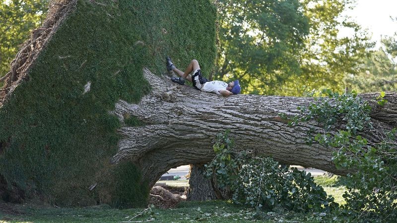 John Pfaff lays on a fallen tree Thursday, September 10, 2020, in Salt Lake City. Two days after a windstorm wreaked havoc in Utah, many schools remain closed and tens of thousands are still without power. (Photo by Rick Bowmer/AP Photo)